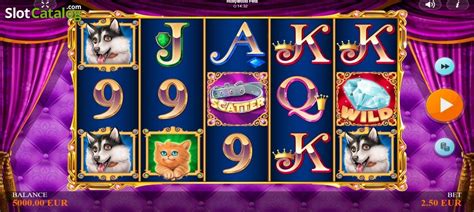 Hollywood Pets Slot Review 2025 .